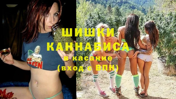 сатива Арсеньев