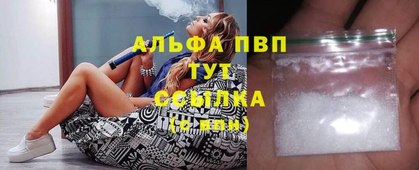 сатива Арсеньев